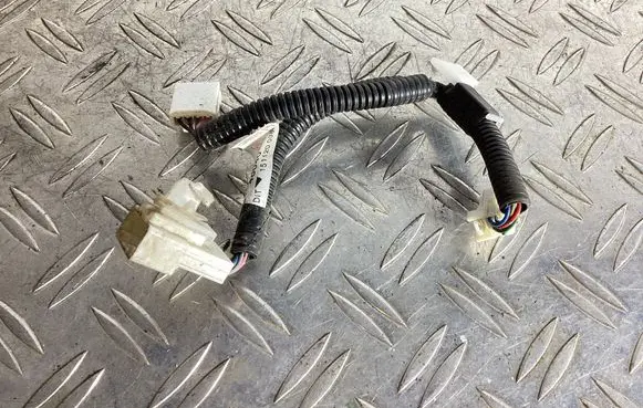 Lexus NX Other wiring loom G92X248040