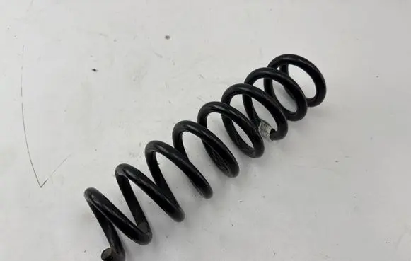 Rear coil spring