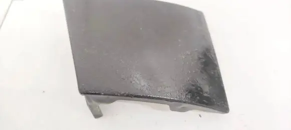 Rear/tail light trim molding
