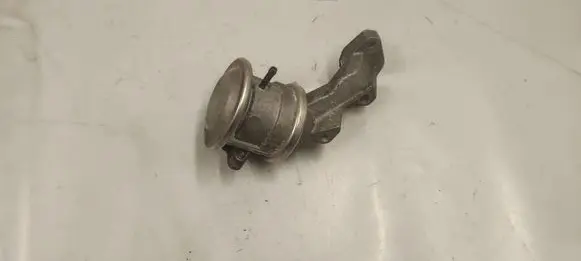 Porsche Cayenne (92A) EGR valve 06E131102B