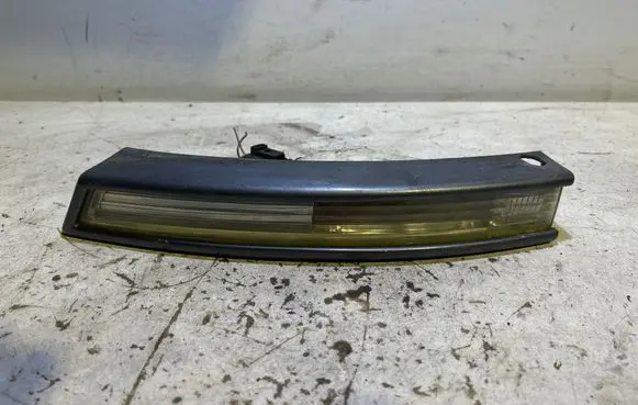 Volkswagen PASSAT B6 Front indicator light 3C0953041L