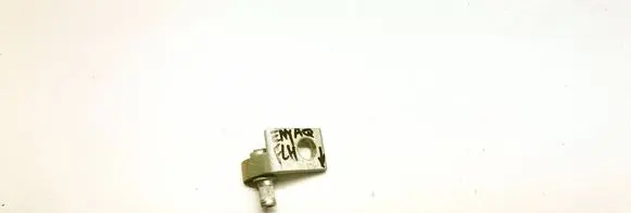 Skoda Enyaq iV Front door lower hinge 