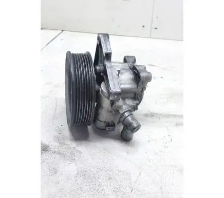 Mercedes-Benz S W220 Power steering pump 2106491