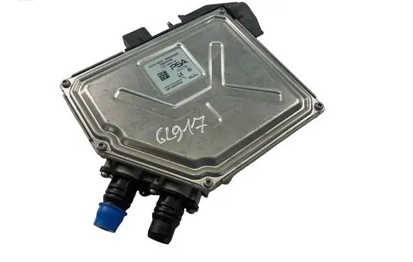 Peugeot 208 II Other control units/modules 9863022680