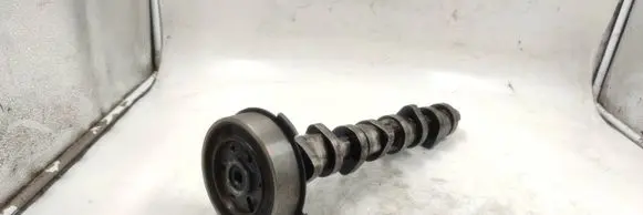 Volkswagen Golf V Crankshaft 038109239