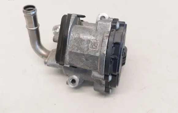 Volkswagen Tiguan EGR valve 04L131501RV