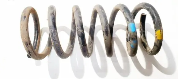 Chevrolet Captiva Rear coil spring