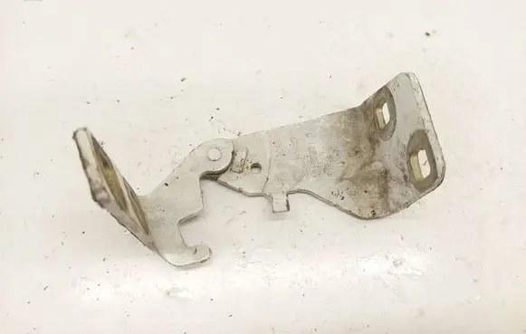 Renault Trafic II (X83) Engine bonnet/hood hinges 312083
