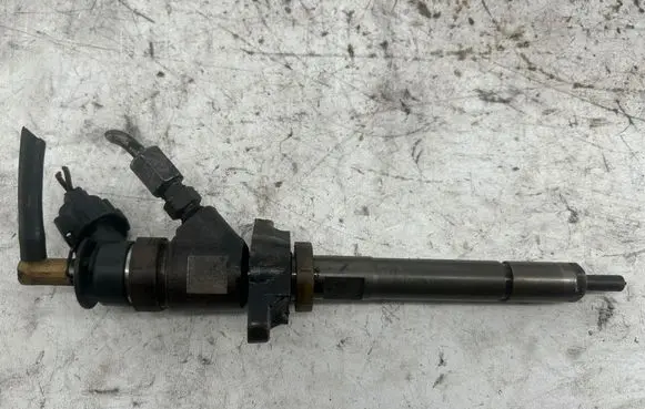 Citroen C3 Fuel injector 0445110311 620033