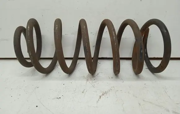 Rear coil spring