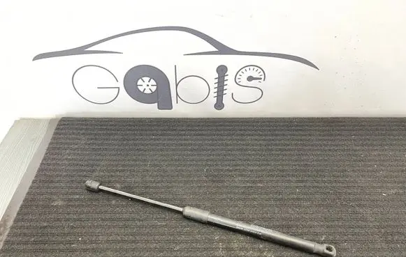 Front bonnet/hood damper/strut