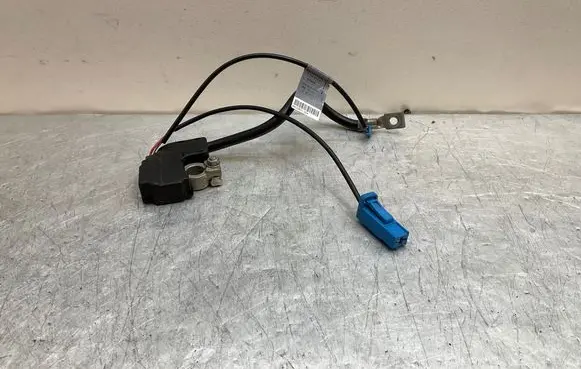 BMW 3 E92 E93 Negative earth cable (battery) 9215952