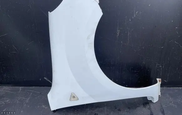 Renault Kangoo II Fender