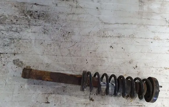BMW 5 E39 Rear shock absorber with coil spring NOCODE