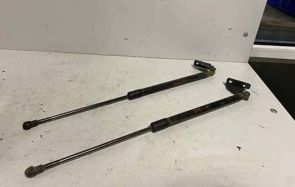 Tailgate/trunk strut/damper