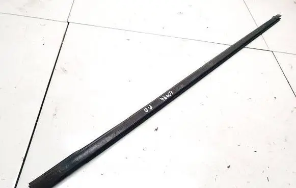 Nissan Leaf I (ZE0) Front door glass trim molding 