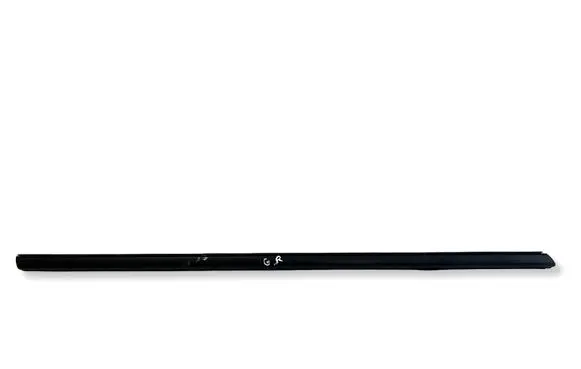 Honda Insight Rear door glass trim molding 