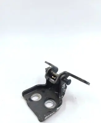 Rear door lower hinge