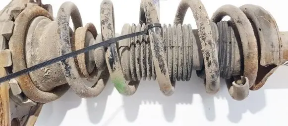Nissan Primera Rear coil spring
