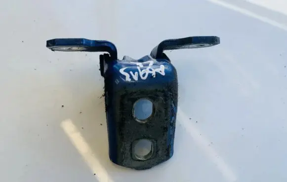 Renault Laguna III Rear door lower hinge