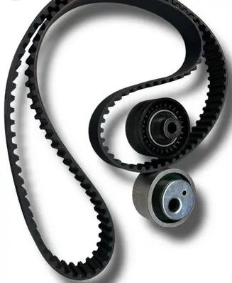 Citroen Berlingo Timing belt 1611879680