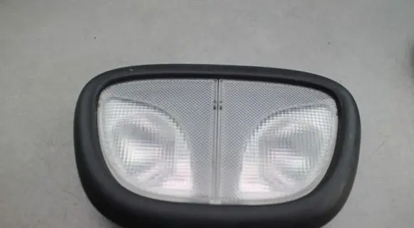 Dodge Dart Front seat light 110067DX9AD
