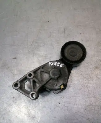 Seat Alhambra (Mk1) Generator/alternator belt tensioner 038903316