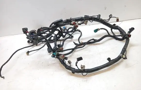 Ford Mustang V Front door wiring loom