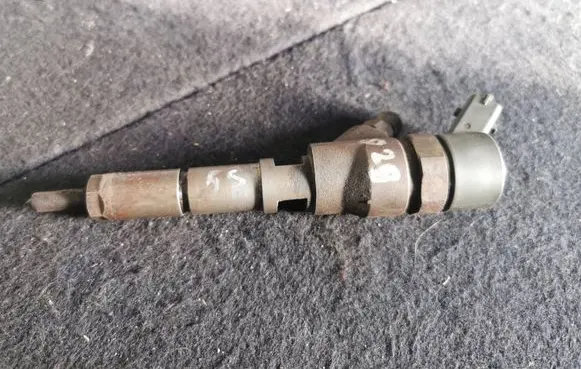 Peugeot 406 Fuel injector 0445110008 9635196580