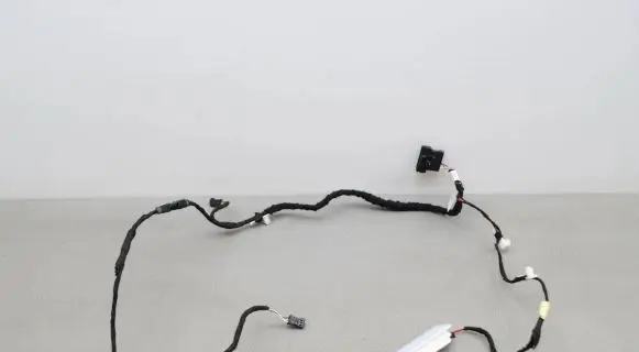Front door wiring loom