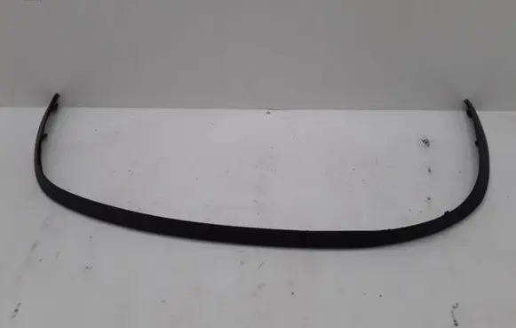 Renault Scenic III - Grand scenic III Front bumper lip 960150002R