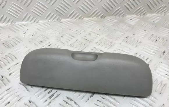 Renault Laguna II Sunglasses storage box 8200000111