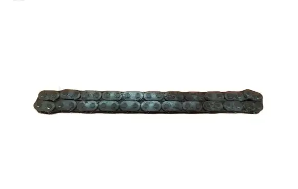 Renault Laguna II Timing chain (engine) 3FB0325
