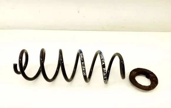 Rear coil spring