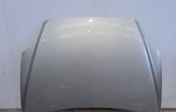 Engine bonnet/hood