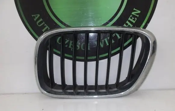 BMW X5 E53 Front grill 51138247673