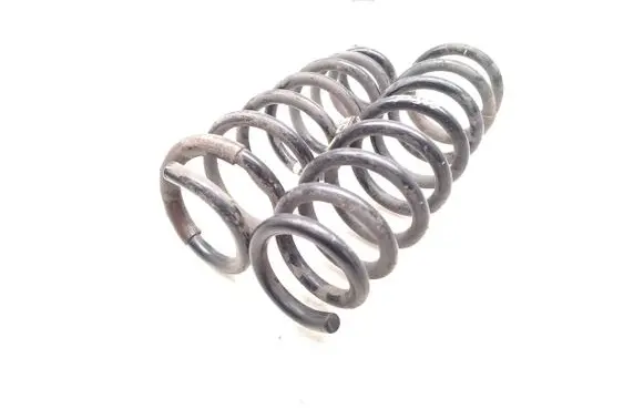 Rear coil spring