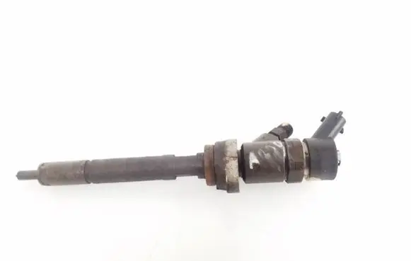 Citroen C4 I Fuel injector 0445110239