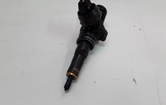 Skoda Roomster (5J) Fuel injector 0414720314