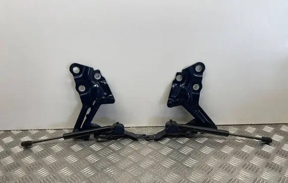 BMW X3 F25 Engine bonnet/hood hinges 7210729 7210730