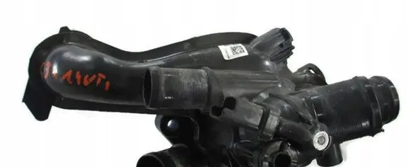 Thermostat/thermostat housing