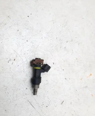 Nissan Qashqai+2 Fuel injector FBY2850 5008611