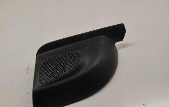 Front door speaker