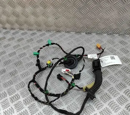 Volkswagen T-Roc Front door wiring loom 2GA971120AP