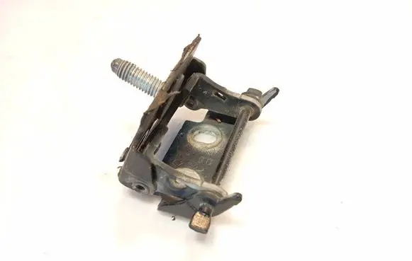 Ford Fusion Rear door lower hinge