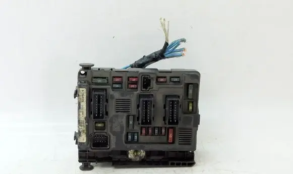 Citroen C5 Fuse S118470005 195053