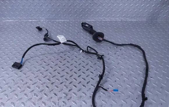 BMW X1 U11 Rear door wiring loom 5A52C30 20052021 61125A52C39
