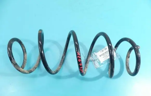 Front coil spring