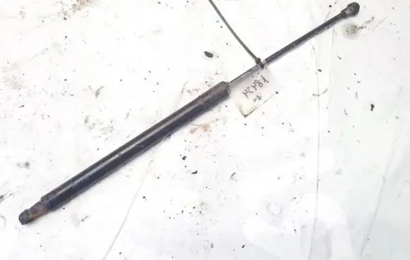 Audi A4 S4 B7 8E 8H Tailgate/trunk strut/damper