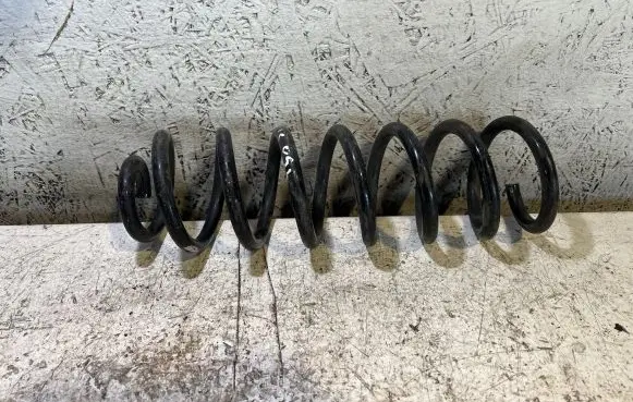 Renault Scenic I Rear coil spring
